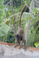 MAYOTTE