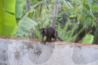 MAYOTTE
