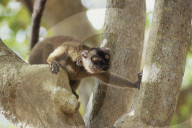 MAYOTTE