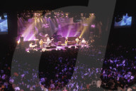 Concert Wire Daisies Auditorium Stravinsky