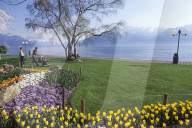 Vevey park 