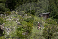 Flore Alpe