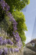 Vevey