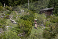 Flore Alpe