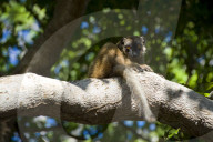 MAYOTTE
