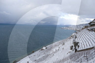 Lavaux