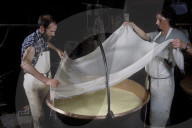 Cheese factory
