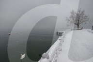 Vaud