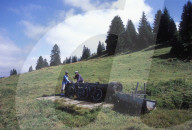 JURA
