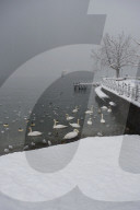 Vaud