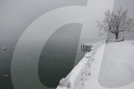 Vaud