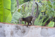 MAYOTTE