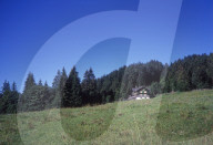 Les Paccots