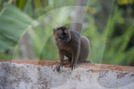 MAYOTTE