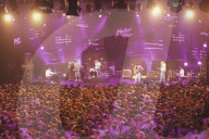 Concert Wire Daisies Auditorium Stravinsky