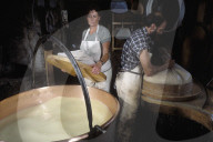 Cheese factory