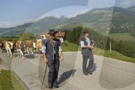 Désalpe en Gruyère