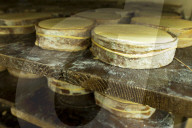 Vacherin Mont-d'Or AOC