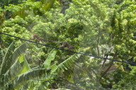 MAYOTTE