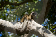 MAYOTTE