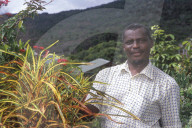 MAYOTTE