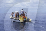 MAYOTTE