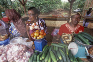 MAYOTTE