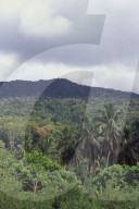 MAYOTTE