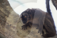MAYOTTE