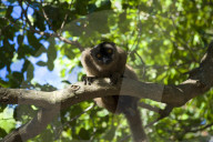 MAYOTTE