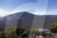 LA REUNION