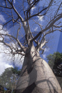 MAYOTTE