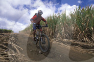 LA REUNION