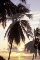 MAYOTTE