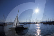 ZUG