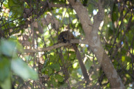 MAYOTTE