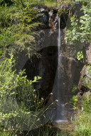 Flore Alpe