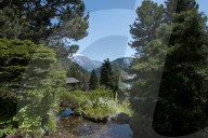 Flore Alpe