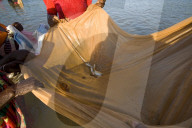 pêche