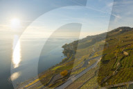 Lavaux