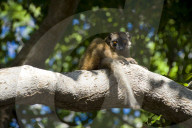 MAYOTTE