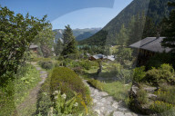 Flore Alpe