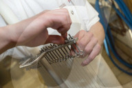 Vacherin Mont-d'Or AOC