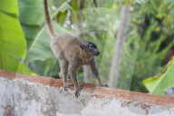 MAYOTTE