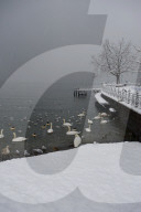 Vaud