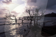 MAYOTTE