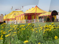 Circus    Monti