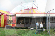Loewenkaegfig  Circus Nock, Schweiz