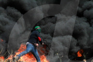 FEATURE - Pix of the Day: Bilder des Tages