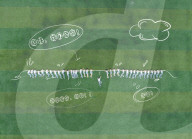 FEATURE - Kreative Schulabschlussbilder